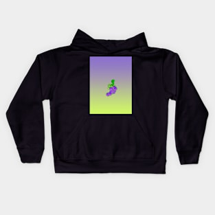 Grape Skulls Kids Hoodie